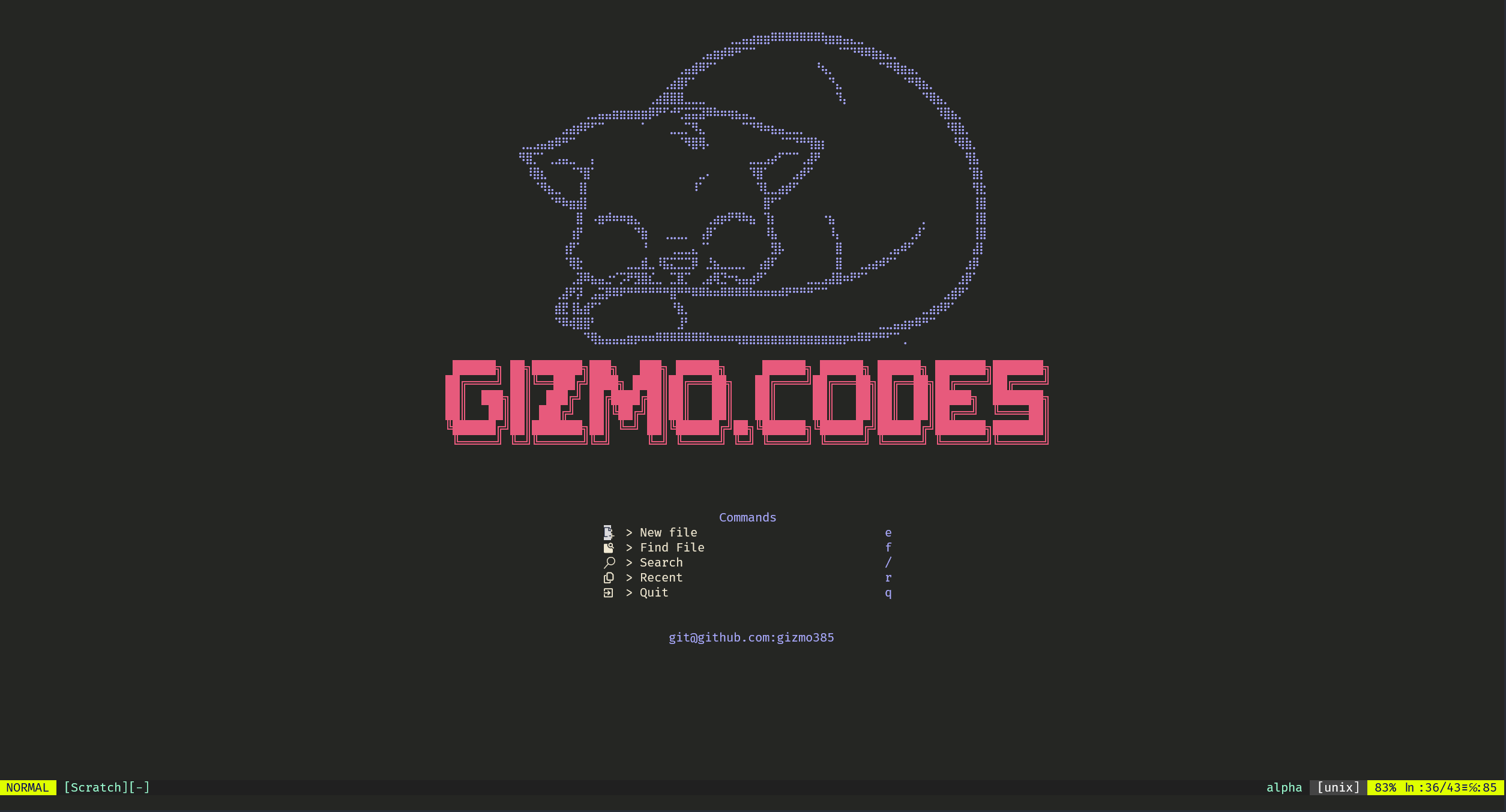 Neovim startup screen